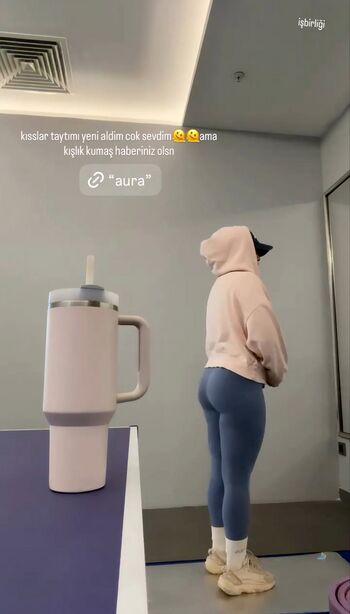 Elanur