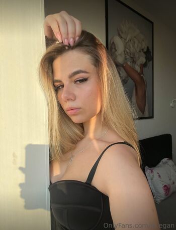 lera_foxy