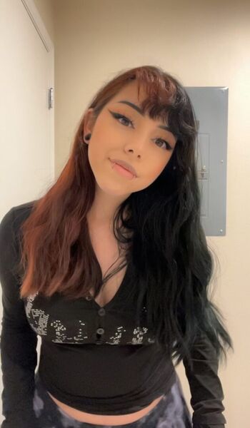 Luusilly