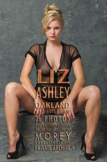 MoreyStudios