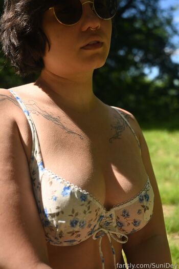 Sunidey