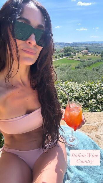 The Bella Twins