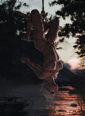 The Witcher
